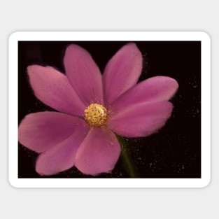 Pretty pink watercolor flower Sticker